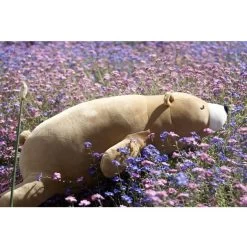 Trousselier Peluche Nemu Nemu - COOKIE - Ours Brun 9 Trousselier Peluche Nemu Nemu - COOKIE - Ours Brun -Merci tys p3 FULL 323