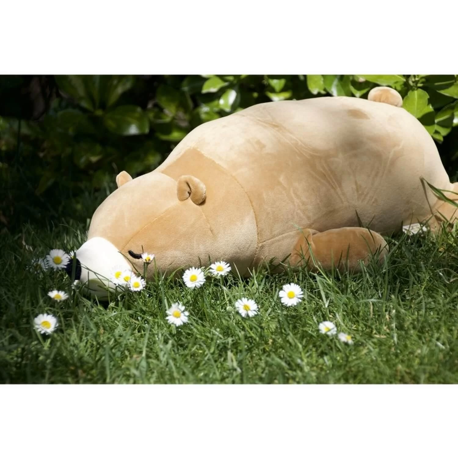 Trousselier Peluche Nemu Nemu - COOKIE - Ours Brun 5 Trousselier Peluche Nemu Nemu - COOKIE - Ours Brun â Image 5